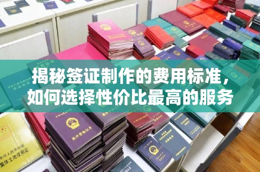 万山揭秘签证制作的费用标准，如何选择性价比最高的服务？