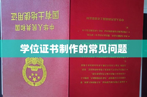 嫩江学位证书制作的常见问题